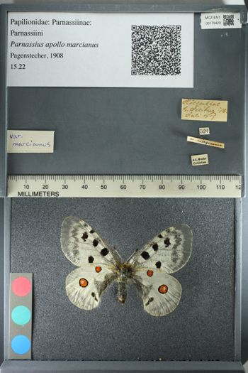 Media type: image;   Entomology 175429